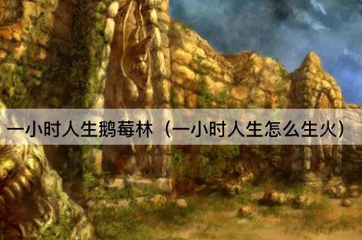一小时人生鹅莓林（一小时人生怎么生火）