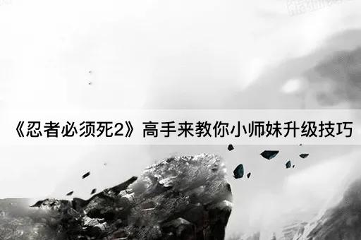 《忍者必须死2》高手来教你小师妹升级技巧