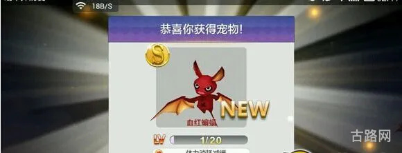 天天风之旅红蝙蝠宠物的抽取方法攻略介绍