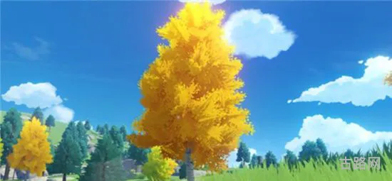 原神桦木哪里多(如何评价原神)