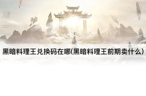 黑暗料理王兑换码在哪(黑暗料理王前期卖什么)