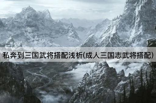 私奔到三国武将搭配浅析(成人三国志武将搭配)