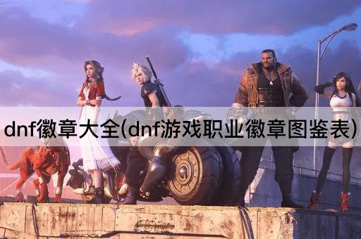 dnf徽章大全(dnf游戏职业徽章图鉴表)