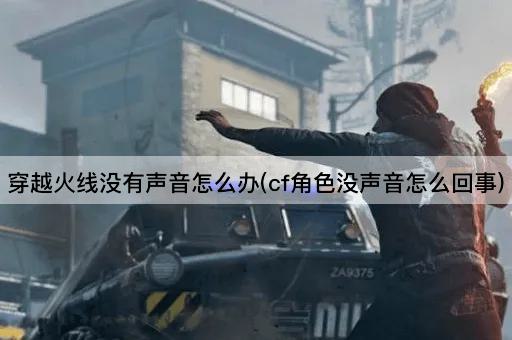 穿越火线没有声音怎么办(cf角色没声音怎么回事)