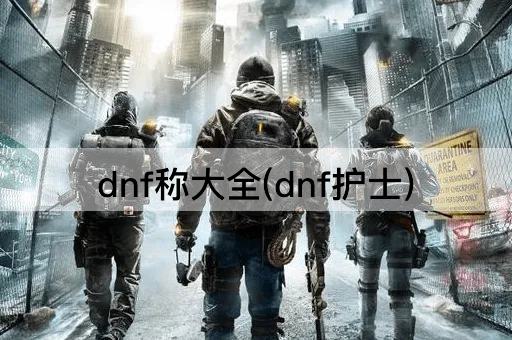 dnf称大全(dnf护士)