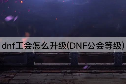 dnf工会怎么升级(DNF公会等级)