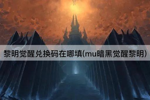 黎明觉醒兑换码在哪填(mu暗黑觉醒黎明)