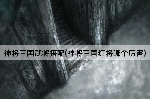 神将三国武将搭配(神将三国红将哪个厉害)