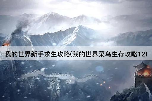 我的世界新手求生攻略(我的世界菜鸟生存攻略12) 我的世界新手求生攻略(我的世界菜鸟生存攻略12)
