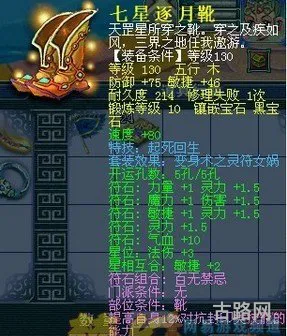 17173梦幻(梦幻叶子猪)