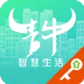 青牛开门