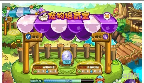 洛克王国幸运符文怎么得(洛克王国火能量石有什么用)