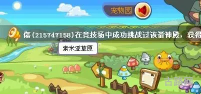 洛克王国小马驹(洛克王国增压剂怎么获得)