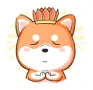 天天养狗