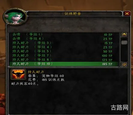 猎人宠物训练点数(怀旧服宝宝训练点数如何获得)