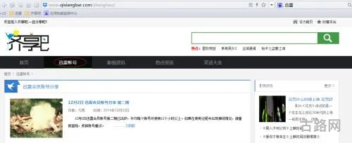免费迅雷vip账号(迅雷会员每天账号分享)