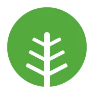 抒发森林