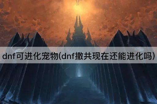 dnf可进化宠物(dnf撒共现在还能进化吗)