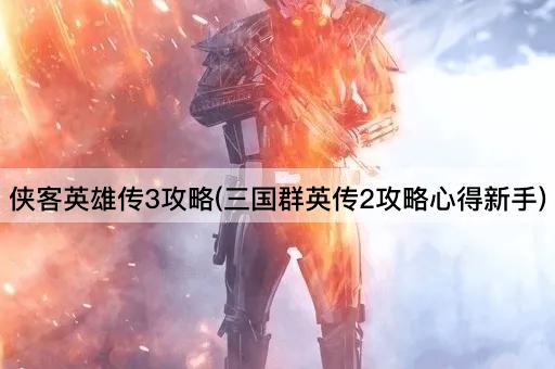 侠客英雄传3攻略(三国群英传2攻略心得新手)