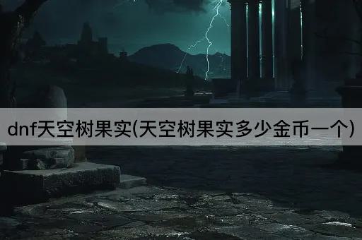 dnf天空树果实(天空树果实多少金币一个)