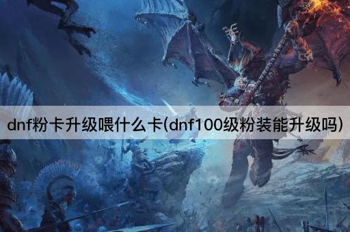 dnf粉卡升级喂什么卡(dnf100级粉装能升级吗)
