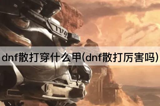 dnf散打穿什么甲(dnf散打厉害吗)