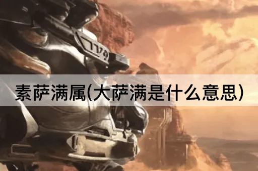 素萨满属(大萨满是什么意思)