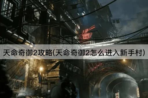 天命奇御2攻略(天命奇御2怎么进入新手村)