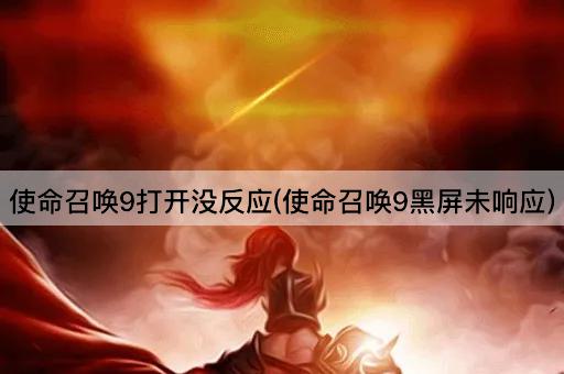 使命召唤9打开没反应(使命召唤9黑屏未响应)