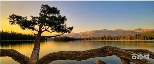 吴亦凡成功后的发展前景(xxlfreshman新疆)